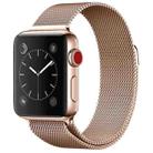 For Apple Watch Ultra 49mm / Series 8&7 45mm / SE 2&6&SE&5&4 44mm / 3&2&1 42mm Milanese Loop Magnetic Stainless Steel Watch Band(Champagne Gold) - 1