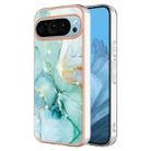 For Google Pixel 9 Electroplating Marble Dual-side IMD Phone Case(Green 003) - 1