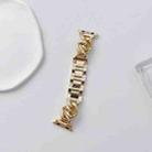Big Denim Chain Metal Watch Band For Apple Watch 8 45mm(Gold) - 2