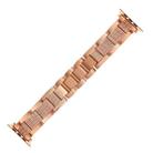 Plaid Metal Watch Band For Apple Watch Series 10 42mm(Rose Gold) - 2