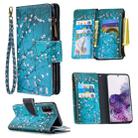 For Samsung Galaxy S20 Colored Drawing Pattern Zipper Horizontal Flip Leather Case with Holder & Card Slots & Wallet(Plum Blossom) - 1