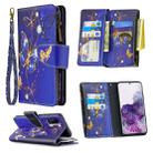 For Samsung Galaxy S20+ Colored Drawing Pattern Zipper Horizontal Flip Leather Case with Holder & Card Slots & Wallet(Purple Butterfly) - 1