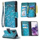 For Samsung Galaxy S20+ Colored Drawing Pattern Zipper Horizontal Flip Leather Case with Holder & Card Slots & Wallet(Plum Blossom) - 1