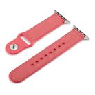 For Apple Watch Series 8&7 41mm / SE 2&6&SE&5&4 40mm / 3&2&1 38mm Single Buckle TPU+ Genuine Leather Watch Band(Rose Red) - 2
