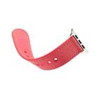 For Apple Watch Series 8&7 41mm / SE 2&6&SE&5&4 40mm / 3&2&1 38mm Single Buckle TPU+ Genuine Leather Watch Band(Rose Red) - 3