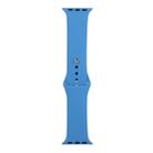 For Apple Watch Series 8&7 41mm / SE 2&6&SE&5&4 40mm / 3&2&1 38mm Silicone Watch Band, Long Section (Men)(Wave Color) - 1