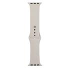 For Apple Watch Series 8&7 41mm / SE 2&6&SE&5&4 40mm / 3&2&1 38mm Silicone Watch Band, Long Section (Men)(Rock Grey) - 1