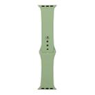 For Apple Watch Ultra 49mm&Watch Ultra 2 49mm / Series 9&8&7 45mm / SE 3&SE 2&6&SE&5&4 44mm / 3&2&1 42mm Silicone Watch Band, Long Section (Men)(Mint Green) - 1