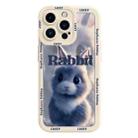 For iPhone 15 Pro Max Liquid Silicone Oil Painting Rabbit Phone Case(Beige Grey) - 1