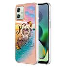 For Motorola Moto G54 Electroplating IMD TPU Phone Case with Ring(Dream Butterfly) - 1