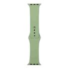 For Apple Watch Series 8&7 41mm / SE 2&6&SE&5&4 40mm / 3&2&1 38mm Silicone Watch Band, Short Section (female)(Mint Green) - 1