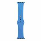 For Apple Watch Series 9&8&7 41mm / SE 3&SE 2&6&SE&5&4 40mm / 3&2&1 38mm Silicone Watch Band, Short Section (female)(Wave Color) - 1