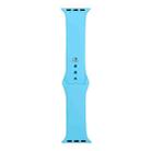 For Apple Watch Series 9&8&7 41mm / SE 3&SE 2&6&SE&5&4 40mm / 3&2&1 38mm Silicone Watch Band, Short Section (female)(Blue) - 1