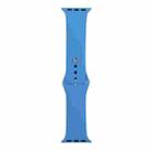 For Apple Watch Ultra 49mm / Series 8&7 45mm / SE 2&6&SE&5&4 44mm / 3&2&1 42mm Silicone Watch Band, Short Section (female)(Wave Color) - 1