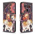 For LG K61 Colored Drawing Pattern Horizontal Flip Leather Case with Holder & Card Slots & Wallet(Flowers and Elephant) - 1