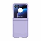 For Motorola Razr 50 Skin Feel PC Phone Case(Sakura Purple) - 1