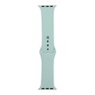 For Apple Watch Series 8&7 41mm / SE 2&6&SE&5&4 40mm / 3&2&1 38mm Silicone Watch Band, Short Section (female)(Light Green) - 1