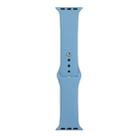 For Apple Watch Series 8&7 41mm / SE 2&6&SE&5&4 40mm / 3&2&1 38mm Silicone Watch Band, Short Section (female)(Clear Blue) - 1