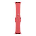 For Apple Watch Series 8&7 41mm / SE 2&6&SE&5&4 40mm / 3&2&1 38mm Silicone Watch Band, Short Section (female)(Camellia Red) - 1