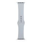 For Apple Watch Series 8&7 41mm / SE 2&6&SE&5&4 40mm / 3&2&1 38mm Silicone Watch Band, Short Section (female)(Blue Grey) - 1