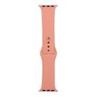 For Apple Watch Series 8&7 41mm / SE 2&6&SE&5&4 40mm / 3&2&1 38mm Silicone Watch Band, Short Section (female)(Begonia) - 1