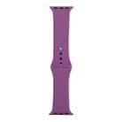 For Apple Watch Series 8&7 41mm / SE 2&6&SE&5&4 40mm / 3&2&1 38mm Silicone Watch Band, Short Section (female)(Purple) - 1