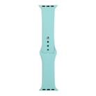 For Apple Watch Ultra 49mm / Series 8&7 45mm / SE 2&6&SE&5&4 44mm / 3&2&1 42mm Silicone Watch Band, Short Section (female)(Ice Sea Blue) - 1