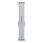 For Apple Watch Ultra 49mm / Series 8&7 45mm / SE 2&6&SE&5&4 44mm / 3&2&1 42mm Silicone Watch Band, Short Section (female)(Blue Grey) - 1
