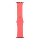 For Apple Watch Ultra 49mm / Series 8&7 45mm / SE 2&6&SE&5&4 44mm / 3&2&1 42mm Silicone Watch Band, Short Section (female)(Peach Red) - 1