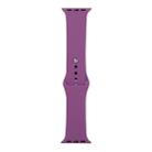 For Apple Watch Ultra 49mm / Series 8&7 45mm / SE 2&6&SE&5&4 44mm / 3&2&1 42mm Silicone Watch Band, Short Section (female)(Purple) - 1