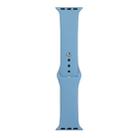 For Apple Watch Series 9&8&7 41mm / SE 3&SE 2&6&SE&5&4 40mm / 3&2&1 38mm Silicone Watch Band, Long Section (Men)(Clear Blue) - 1