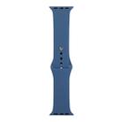 For Apple Watch Series 9&8&7 41mm / SE 3&SE 2&6&SE&5&4 40mm / 3&2&1 38mm Silicone Watch Band, Long Section (Men)(Cobalt Bue) - 1