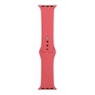 For Apple Watch Ultra 49mm&Watch Ultra 2 49mm / Series 9&8&7 45mm / SE 3&SE 2&6&SE&5&4 44mm / 3&2&1 42mm Silicone Watch Band, Long Section (Men)(Camellia Red) - 1