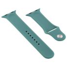 For Apple Watch Series 8&7 41mm / SE 2&6&SE&5&4 40mm / 3&2&1 38mm Silicone Watch Band, Long Section (Men)(Grapefruit) - 2