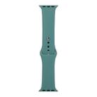 For Apple Watch Series 8&7 41mm / SE 2&6&SE&5&4 40mm / 3&2&1 38mm Silicone Watch Band, Long Section (Men)(Cactus) - 1
