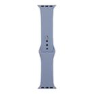 For Apple Watch Series 8&7 41mm / SE 2&6&SE&5&4 40mm / 3&2&1 38mm Silicone Watch Band, Long Section (Men)(Lavender Grey) - 1