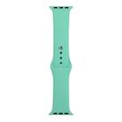 For Apple Watch Series 8&7 41mm / SE 2&6&SE&5&4 40mm / 3&2&1 38mm Silicone Watch Band, Long Section (Men)(Fragrant Green) - 1