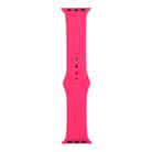 For Apple Watch Series 8&7 41mm / SE 2&6&SE&5&4 40mm / 3&2&1 38mm Silicone Watch Band, Long Section (Men)(Firefly Rose) - 1