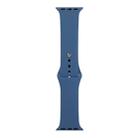 For Apple Watch Series 8&7 41mm / SE 2&6&SE&5&4 40mm / 3&2&1 38mm Silicone Watch Band, Short Section (Female)(Cobalt Bue) - 1