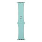 For Apple Watch Ultra 49mm / Series 8&7 45mm / SE 2&6&SE&5&4 44mm / 3&2&1 42mm Silicone Watch Band, Short Section (Female)(Blue Sea) - 1