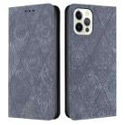 For iPhone 14 Pro Ethnic Embossed Adsorption Leather Phone Case(Grey) - 1