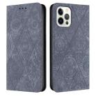 For iPhone 14 Pro Max Ethnic Embossed Adsorption Leather Phone Case(Grey) - 1