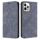 For iPhone 13 Pro Ethnic Embossed Adsorption Leather Phone Case(Grey) - 1