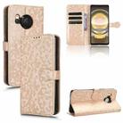 For Sharp Aquos R8 Honeycomb Dot Texture Leather Phone Case(Gold) - 1