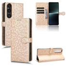 For Sony Xperia 1 V Honeycomb Dot Texture Leather Phone Case(Gold) - 1