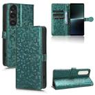 For Sony Xperia 1 V Honeycomb Dot Texture Leather Phone Case(Green) - 1