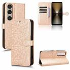 For Sony Xperia 1 VI Honeycomb Dot Texture Leather Phone Case(Gold) - 1