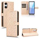 For Sony Xperia 10 VI Honeycomb Dot Texture Leather Phone Case(Gold) - 1