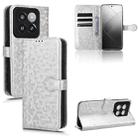 For Xiaomi 14 Pro Honeycomb Dot Texture Leather Phone Case(Silver) - 1