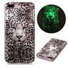 For iPhone 7 Plus / 8 Plus Luminous TPU Soft Protective Case(Leopard Tiger) - 1